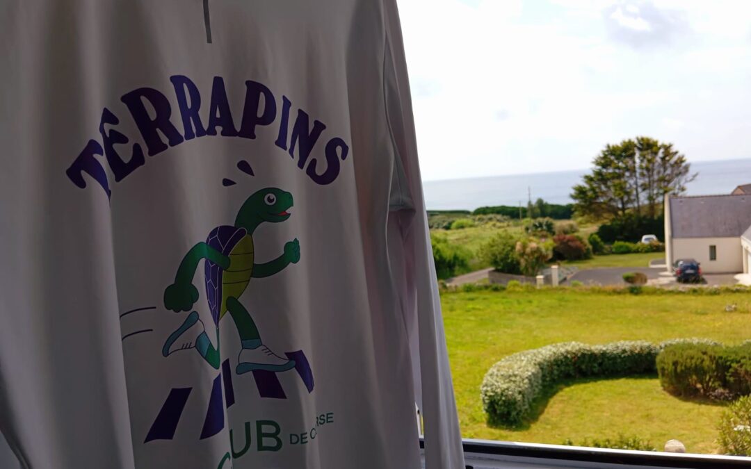 Une Terrapine en magnifique Bretagne!